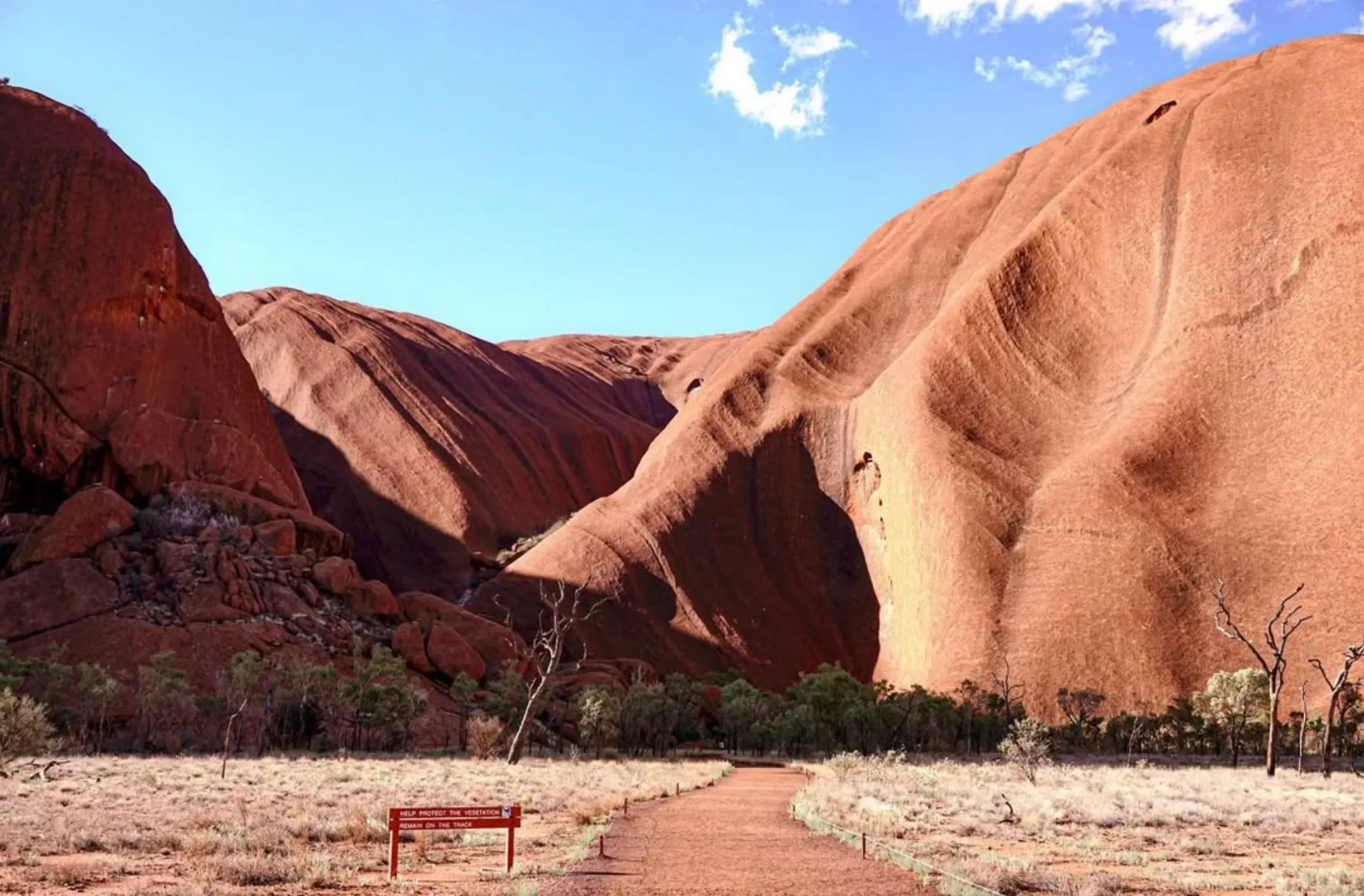 Talinguru Nyakunytjaku, Uluru