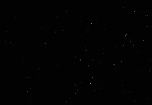 Kakadu Night Sky