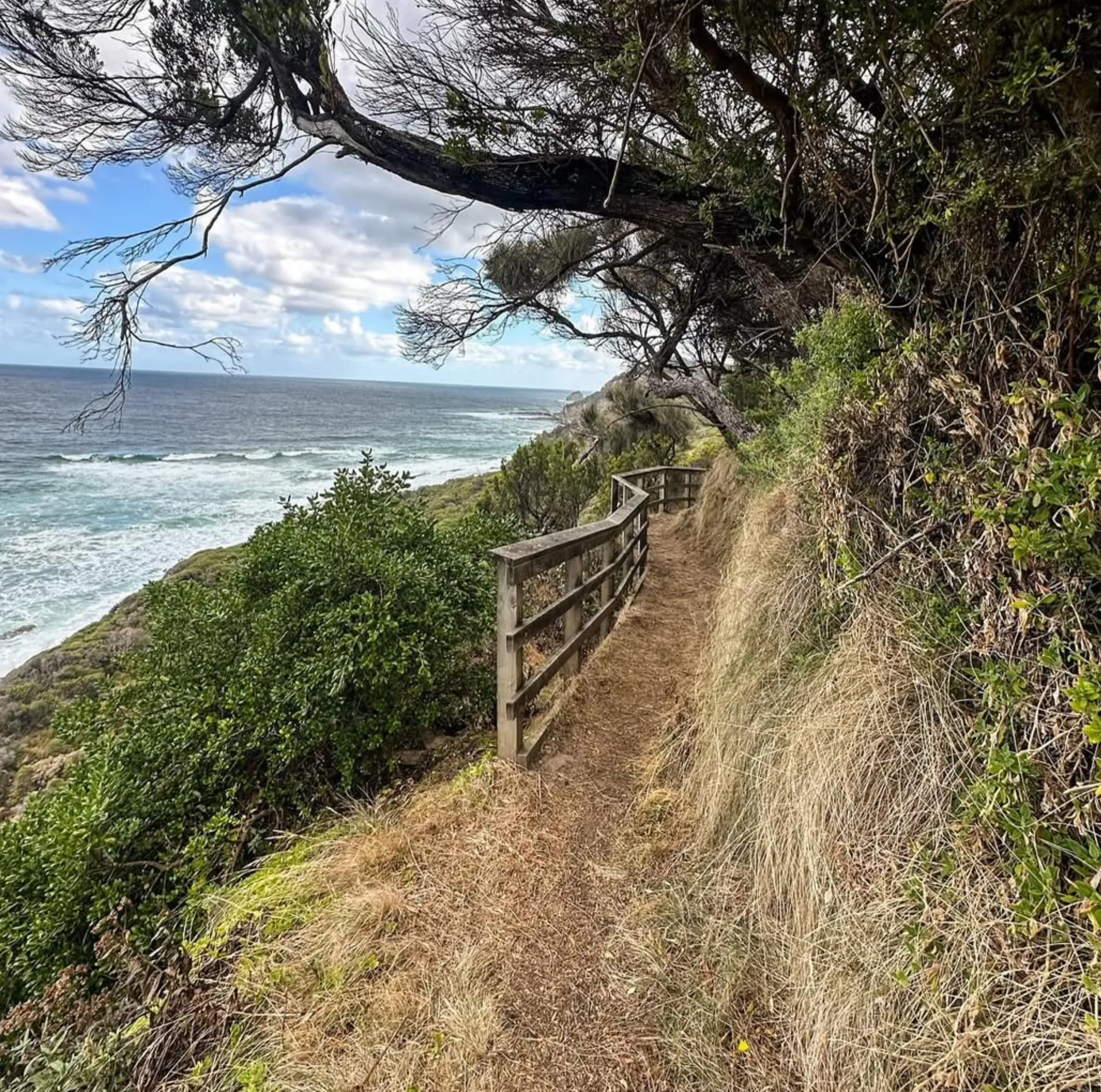 Public campsites, Ocean Walk