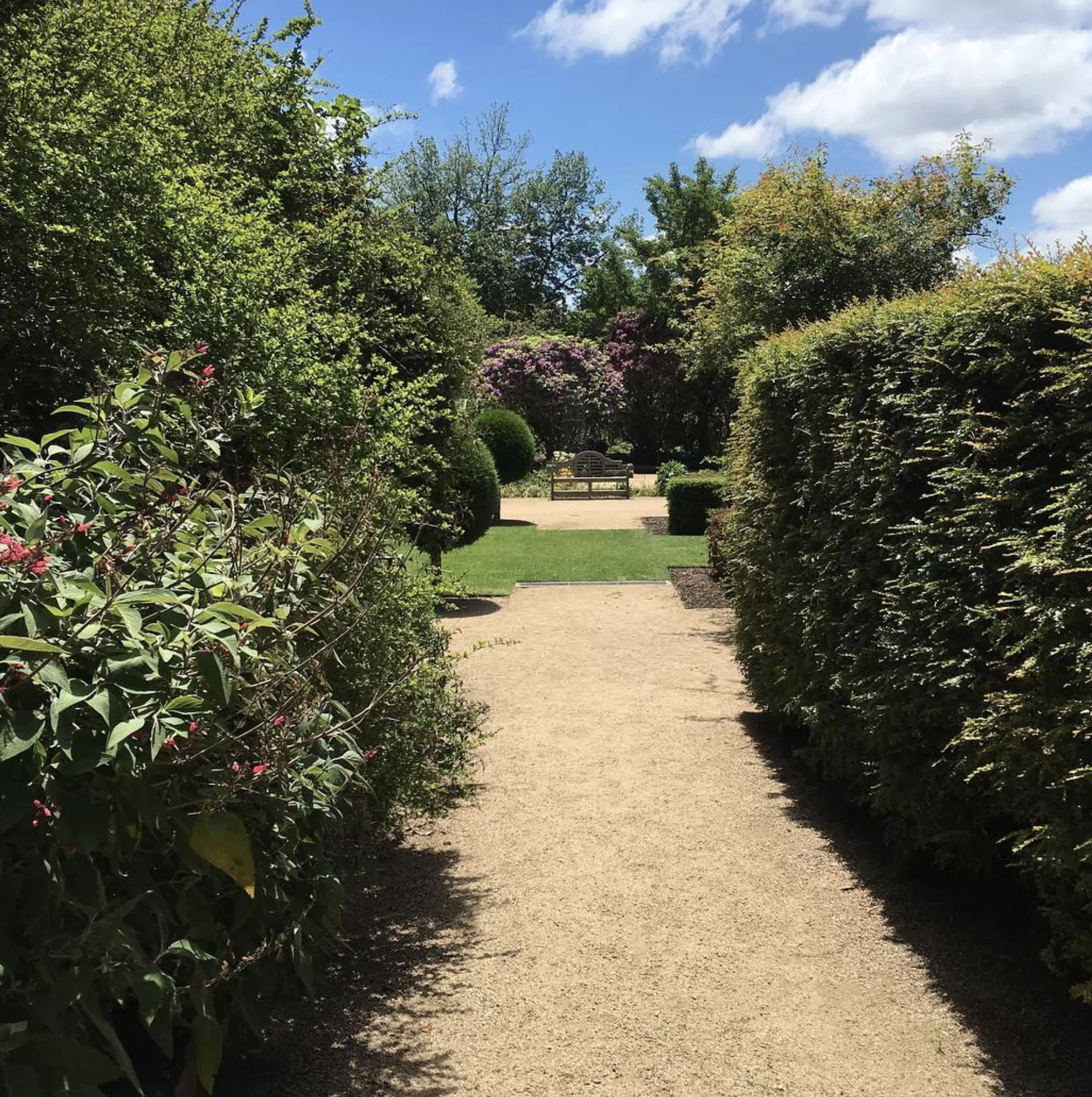 blue mountains botanic garden mount tomah