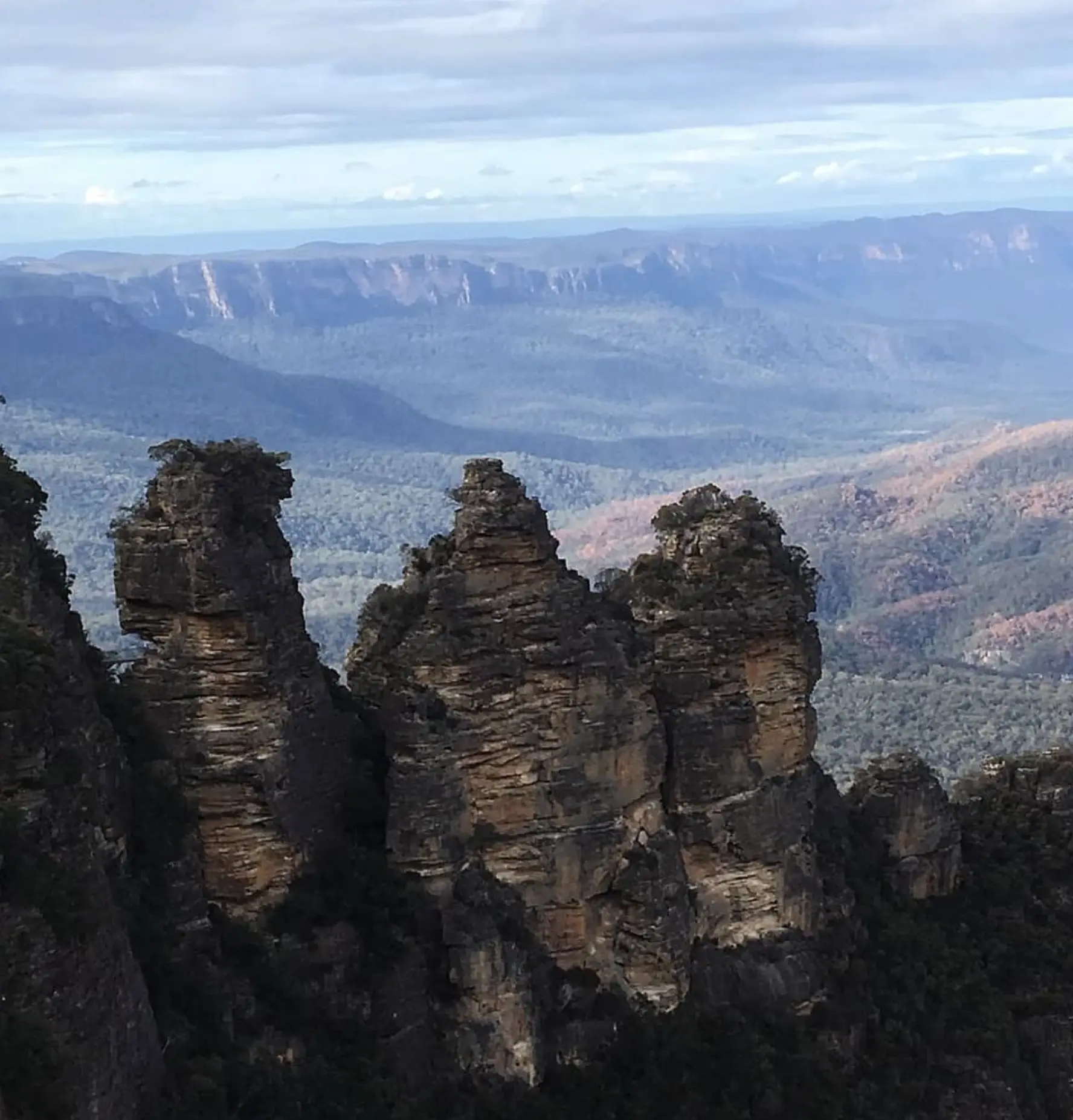 blue mountains botanic garden photos