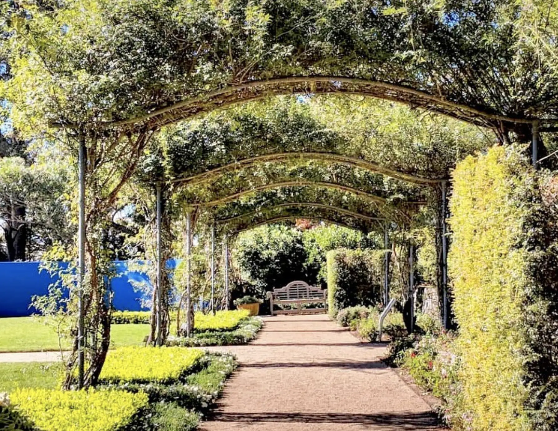 blue mountains botanic gardens wedding